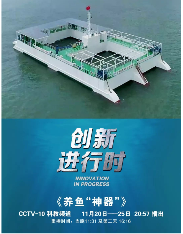 風(fēng)再猛、浪再大，都攔不住我養(yǎng)魚的雄心！